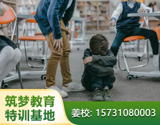 濮阳孩子厌学休学叛逆
